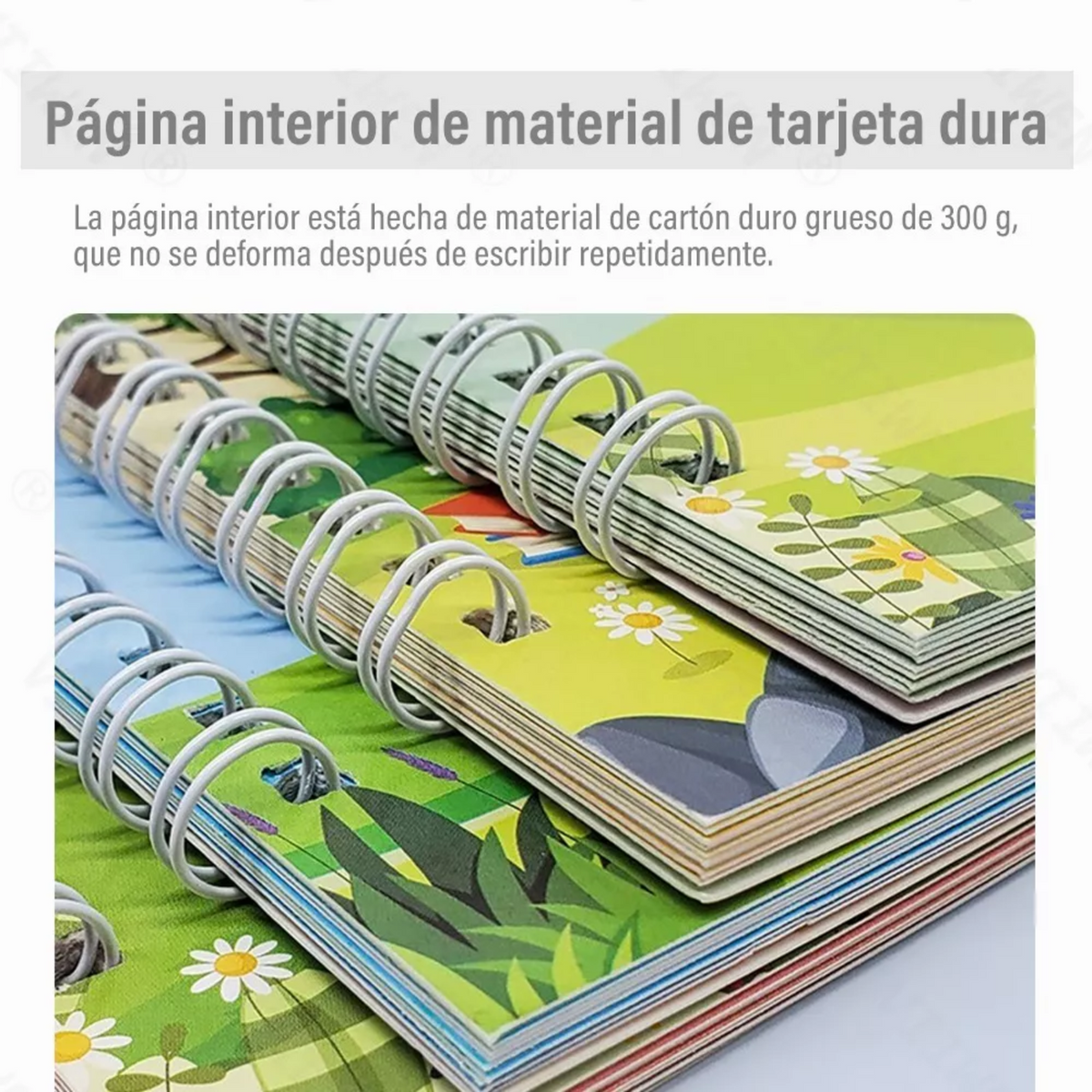 Set Cuadernos Mágicos de Caligrafía