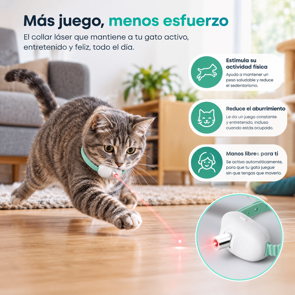 Mantén tu Gato Activo y Feliz // Collar Láser Para Gatos