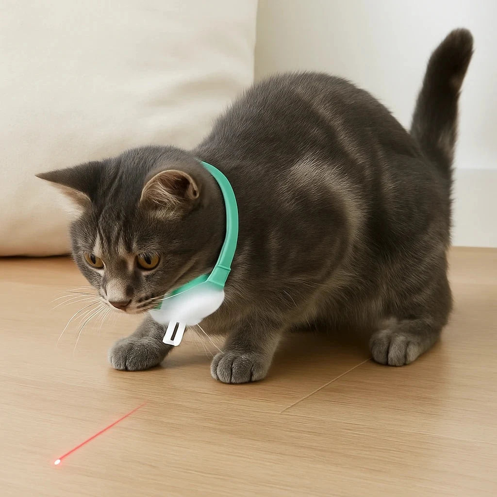 Mantén tu Gato Activo y Feliz // Collar Láser Para Gatos